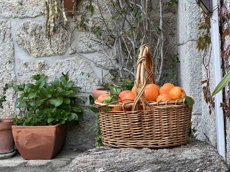 mermelada-natural-naranja-araposeira