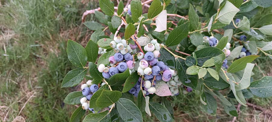 Nuestra-filosofia-seccion-3