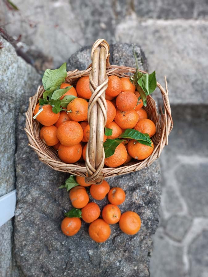 Sobre-a-Raposeira-seccion-3